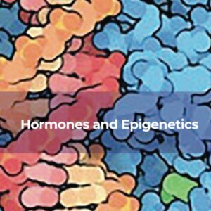 Hormones and Epigenetics (Volume 122) (Vitamins and Hormones