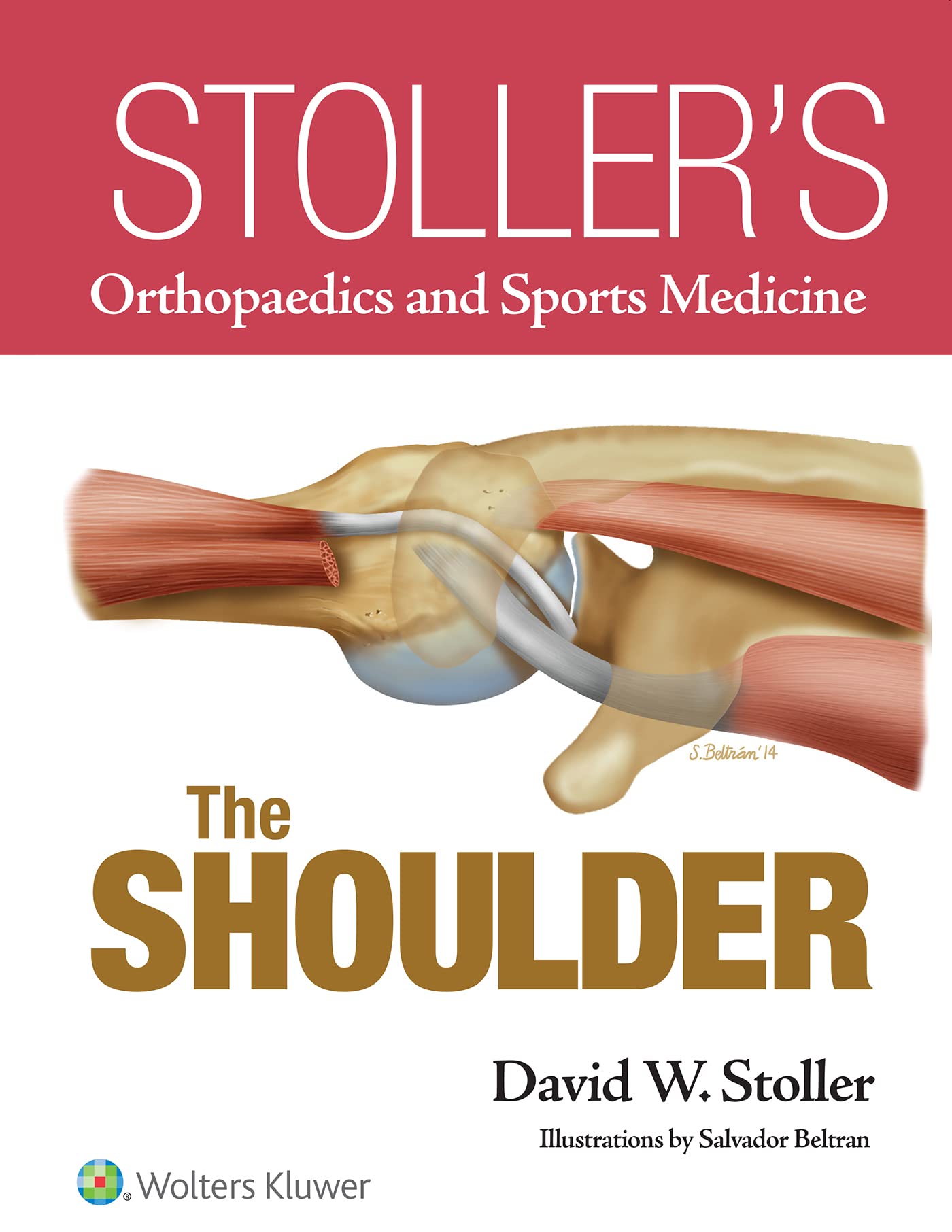 Stoller’s Orthopaedics and Sports Medicine: The Shoulder-ISBN: 9781469892986