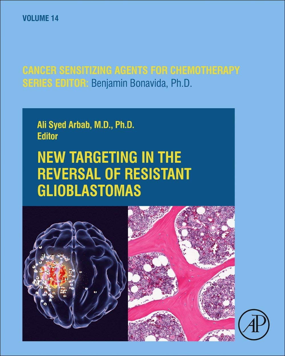 New Targeting in The Reversal of Resistant Glioblastomas (Volume 14) (Cancer Sensitizing Agents for Chemotherapy