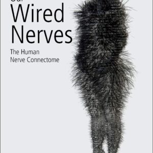 Our Wired Nerves: The Human Nerve Connectome
