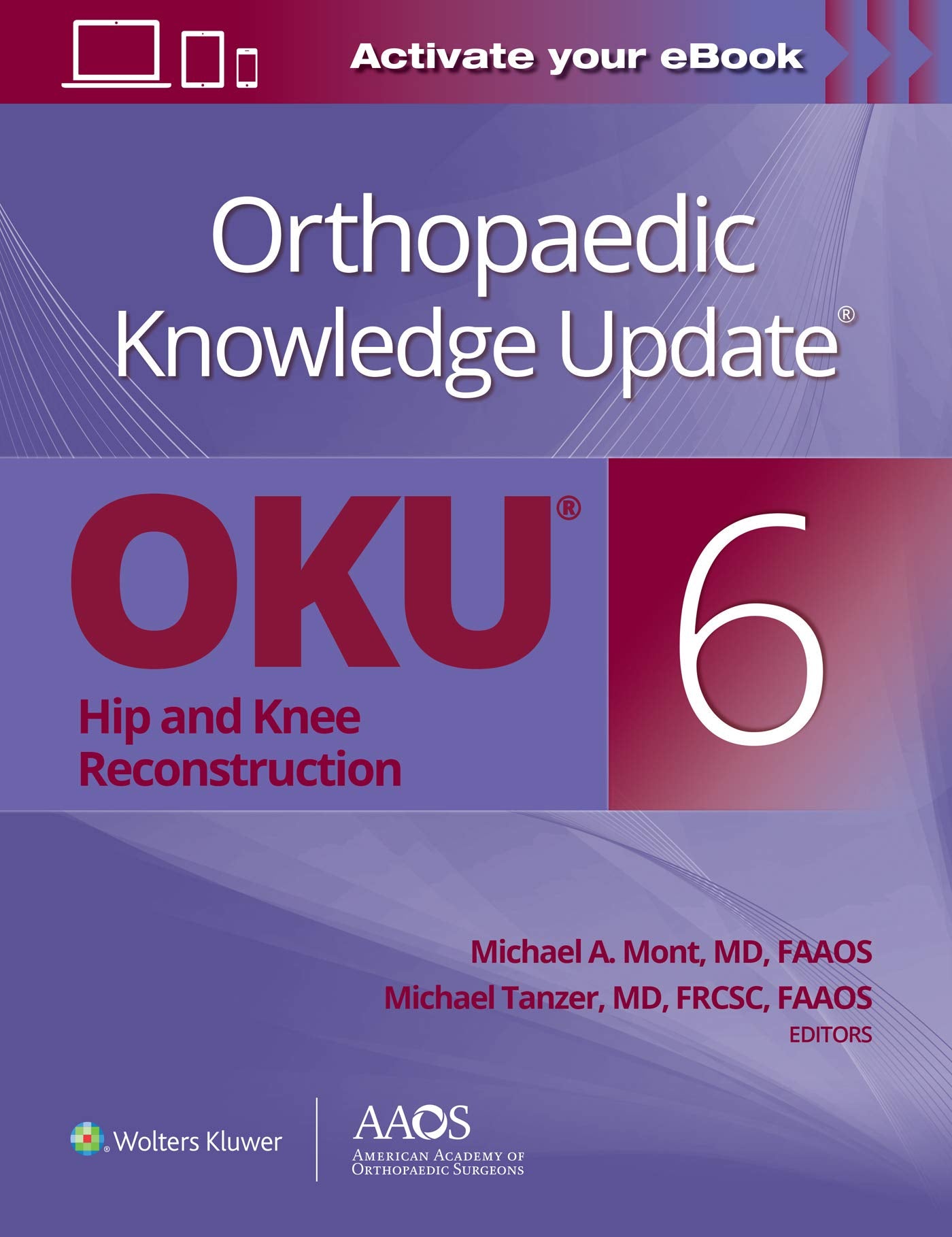 Orthopaedic Knowledge Update®: Hip and Knee Reconstruction 6 Print + Ebook-ISBN: 9781975157999
