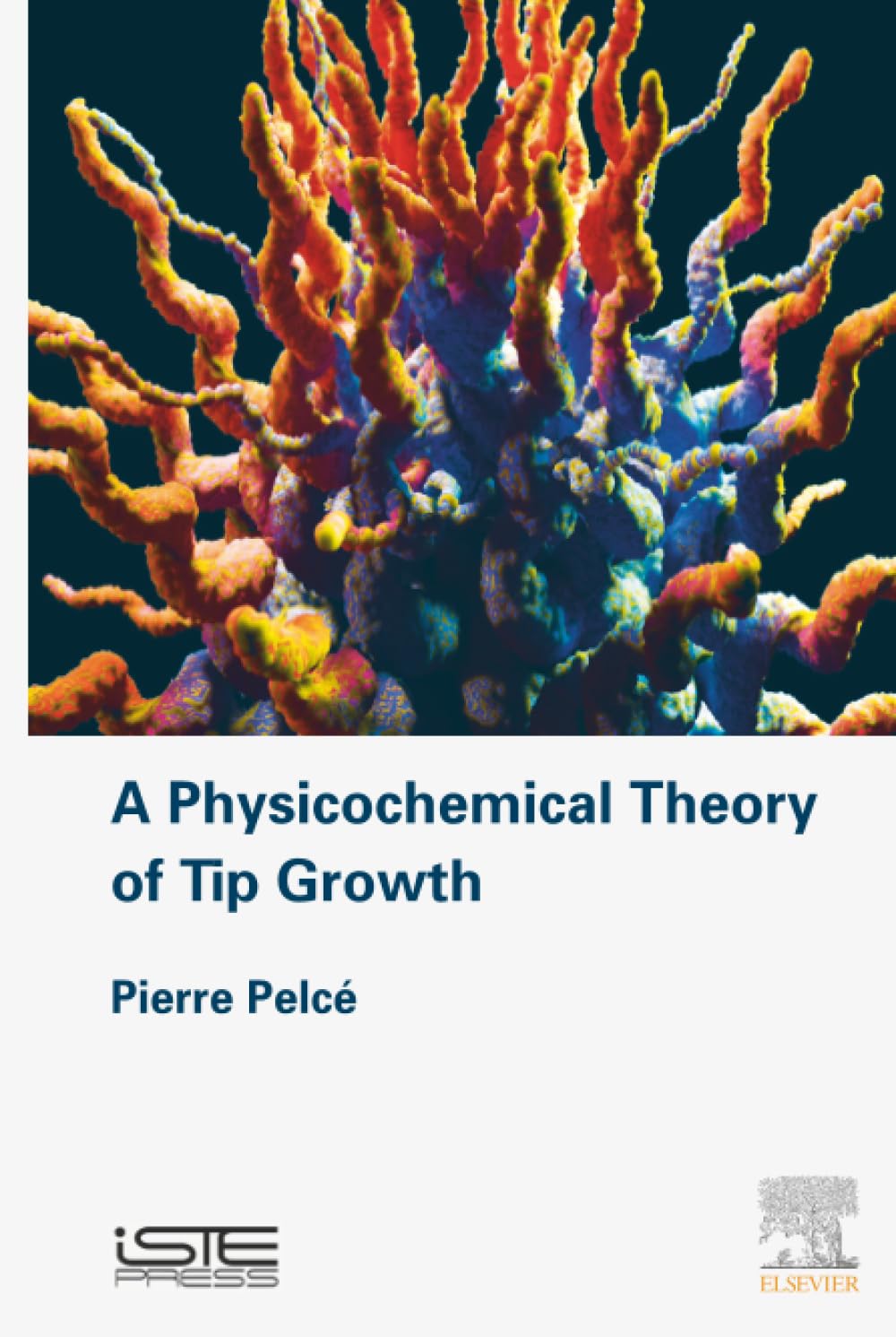 A Physicochemical Theory of Tip Growth