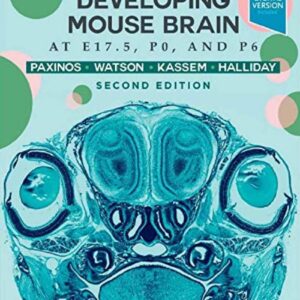 Atlas of the Developing Mouse Brain