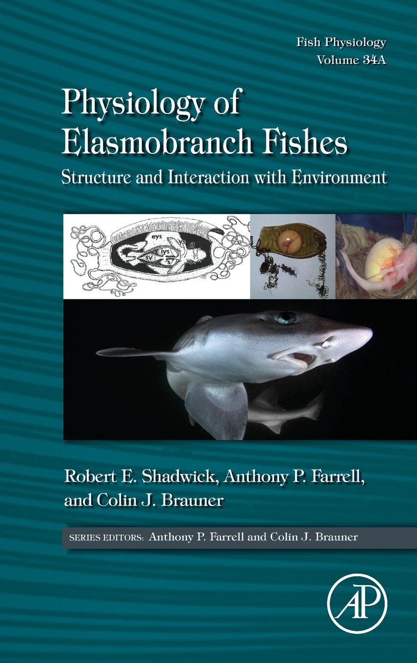 Physiology of Elasmobranch Fishes: Structure and Interaction with Environment (Volume 34A) (Fish Physiology