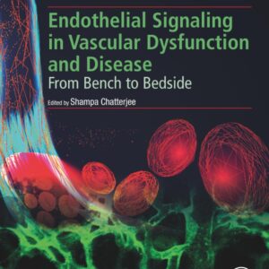 Endothelial Signaling in Vascular Dysfunction and Disease: From Bench to Bedside