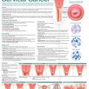 Understanding Cervical Cancer Anatomical Chart-ISBN: 9781975192334
