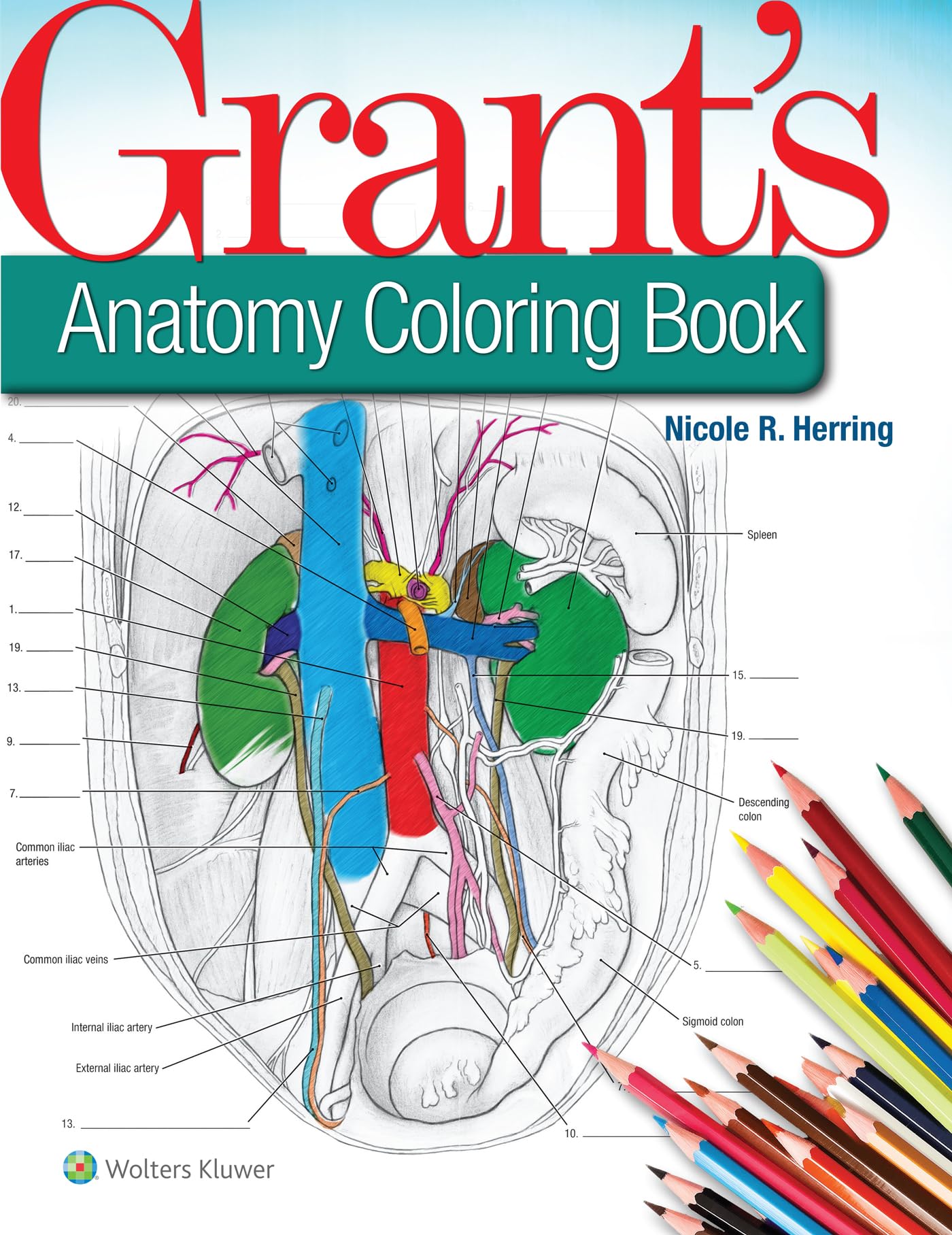 Grant's Anatomy Coloring Book-ISBN: 9781496351258