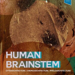Human Brainstem: Cytoarchitecture