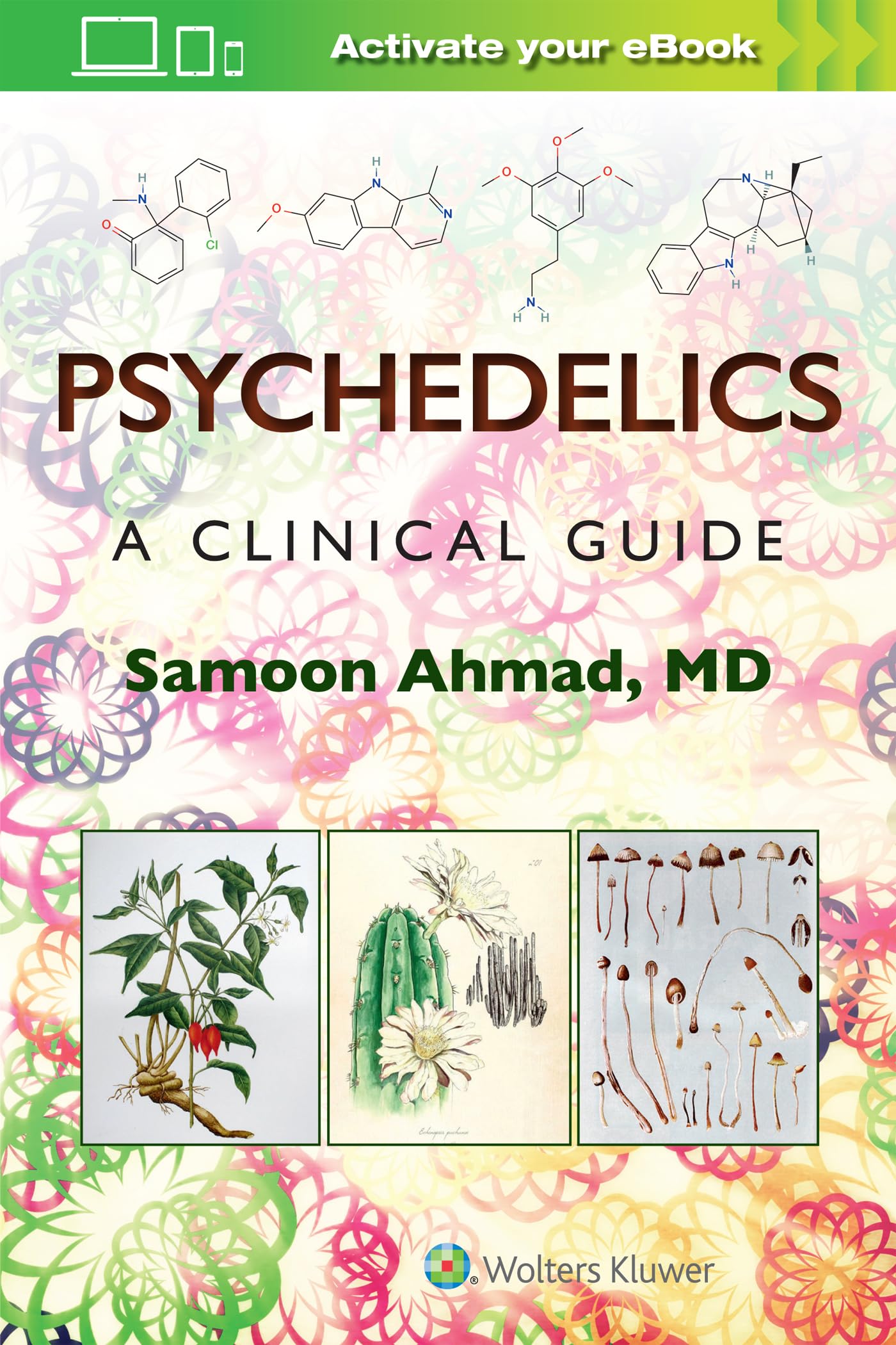 Psychedelics: A Clinical Guide-ISBN: 9781975220594