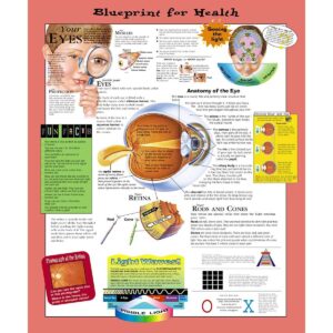 Blueprint For Health Your Eyes Chart-ISBN: 9781587797491