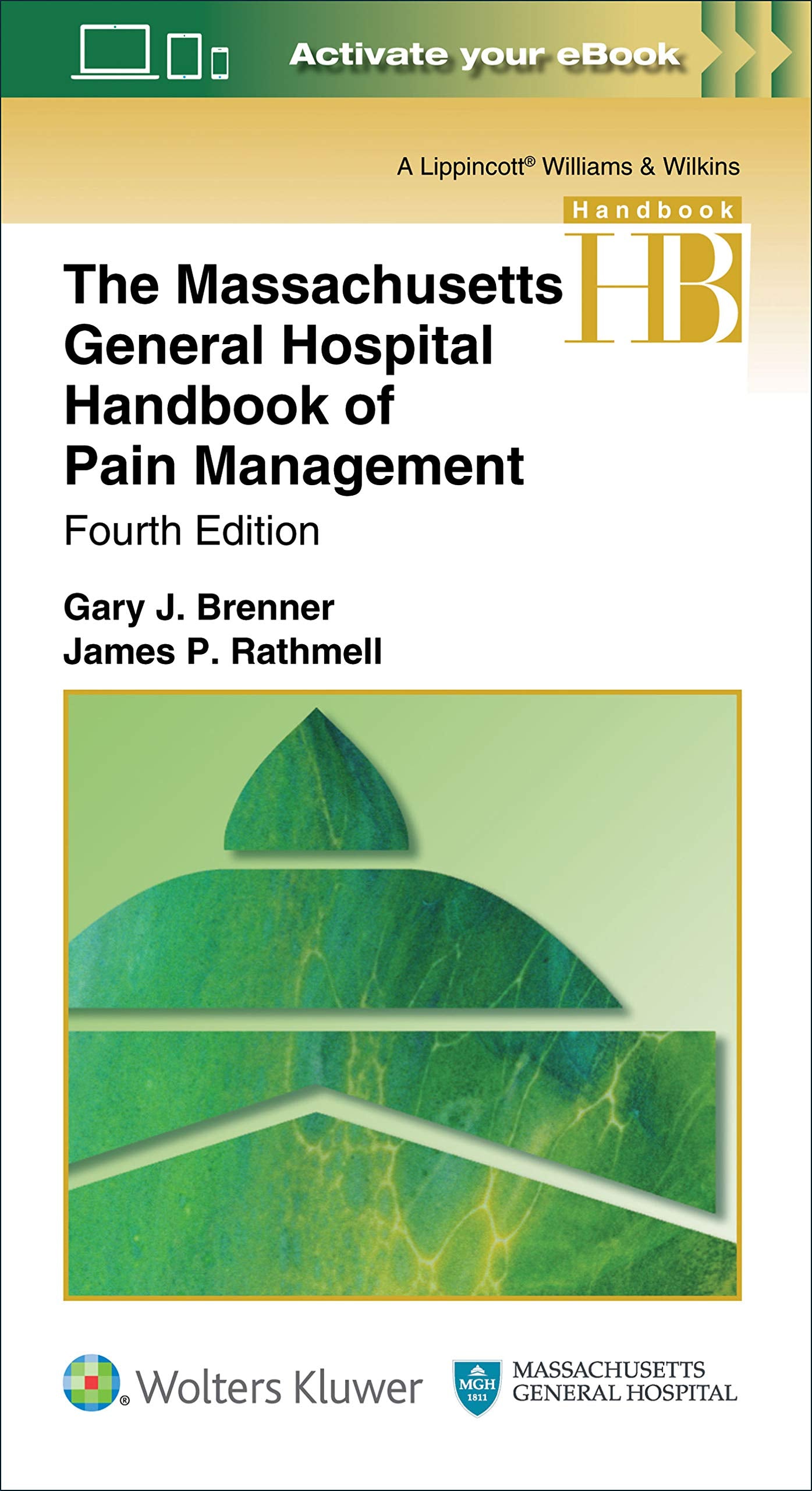 The Massachusetts General Hospital Handbook of Pain Management-ISBN: 9781496347787