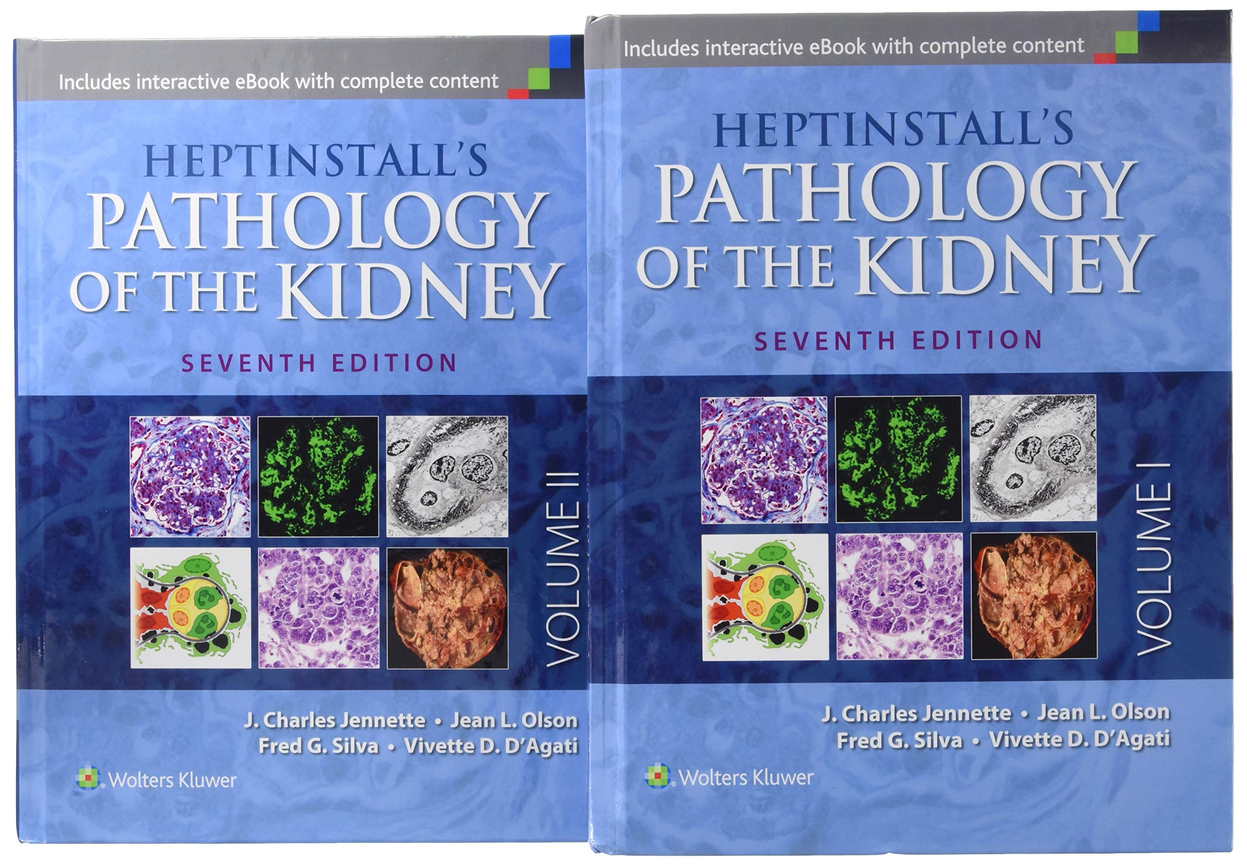 Heptinstall's Pathology of the Kidney-ISBN: 9781451144116