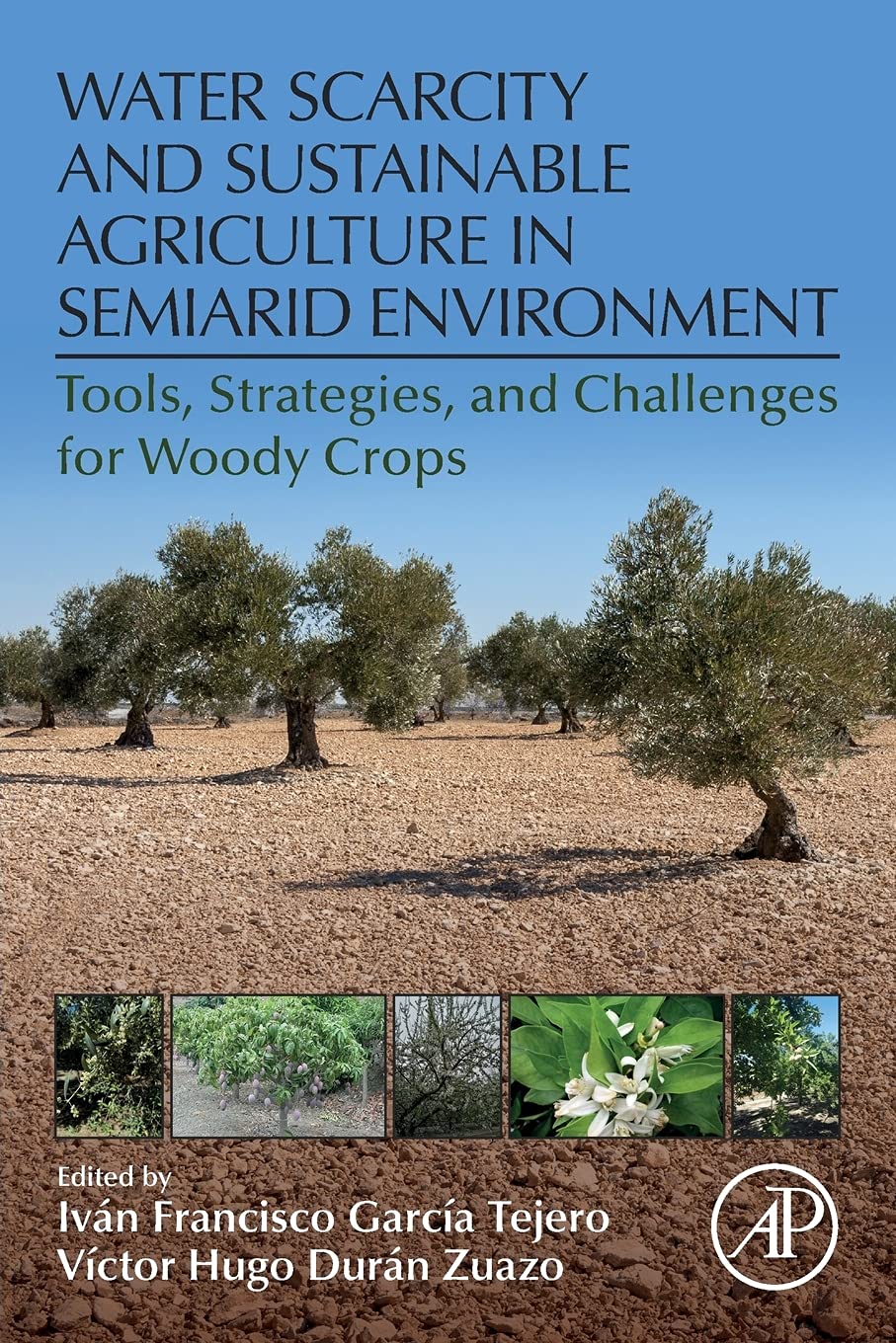 Water Scarcity and Sustainable Agriculture in Semiarid Environment: Tools