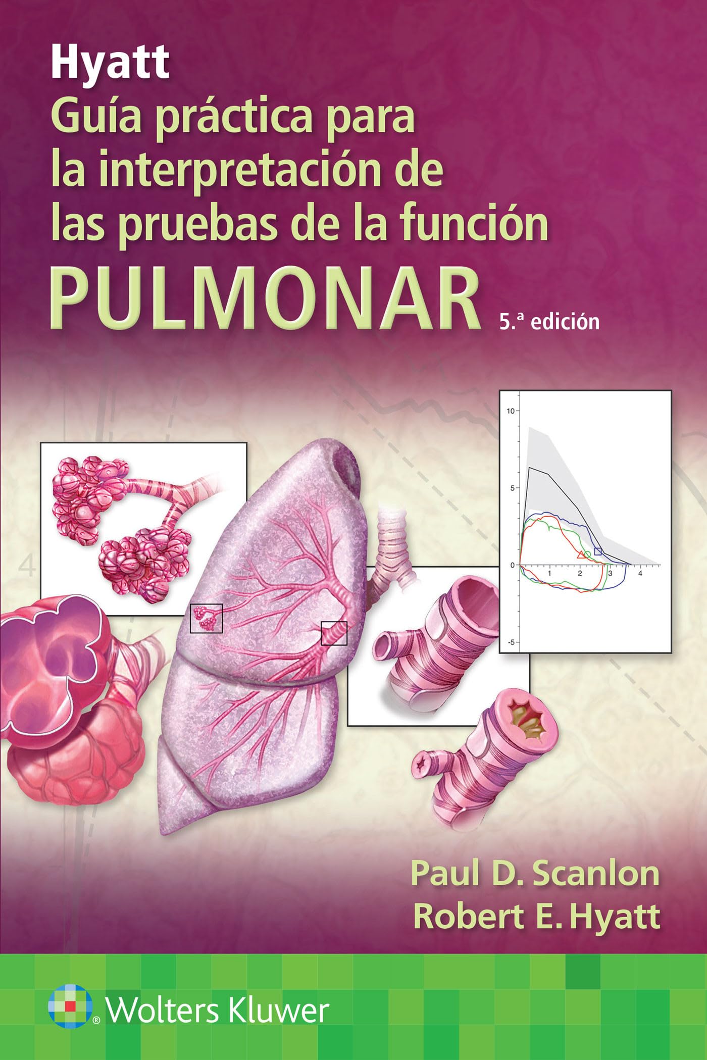 Hyatt. GuÃa práctica para la interpretación de las pruebas de la función pulmonar (Spanish Edition)-ISBN: 9788418892653