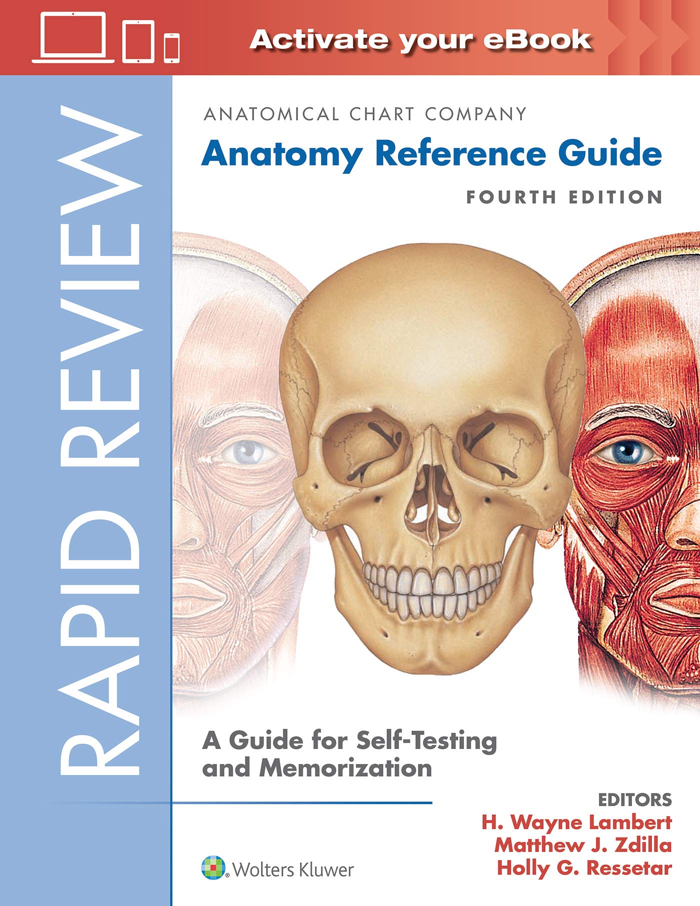Rapid Review: Anatomy Reference Guide: A Guide for Self-Testing and Memorization-ISBN: 9781496391605