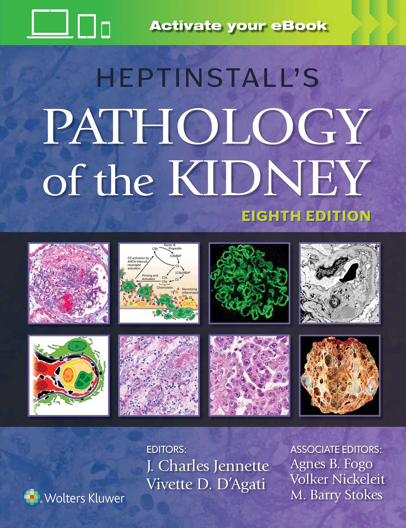 Heptinstall's Pathology of the Kidney-ISBN: 9781975161538