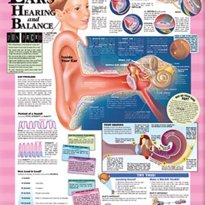 Blueprint For Health Your Ears Chart-ISBN: 9781587797514