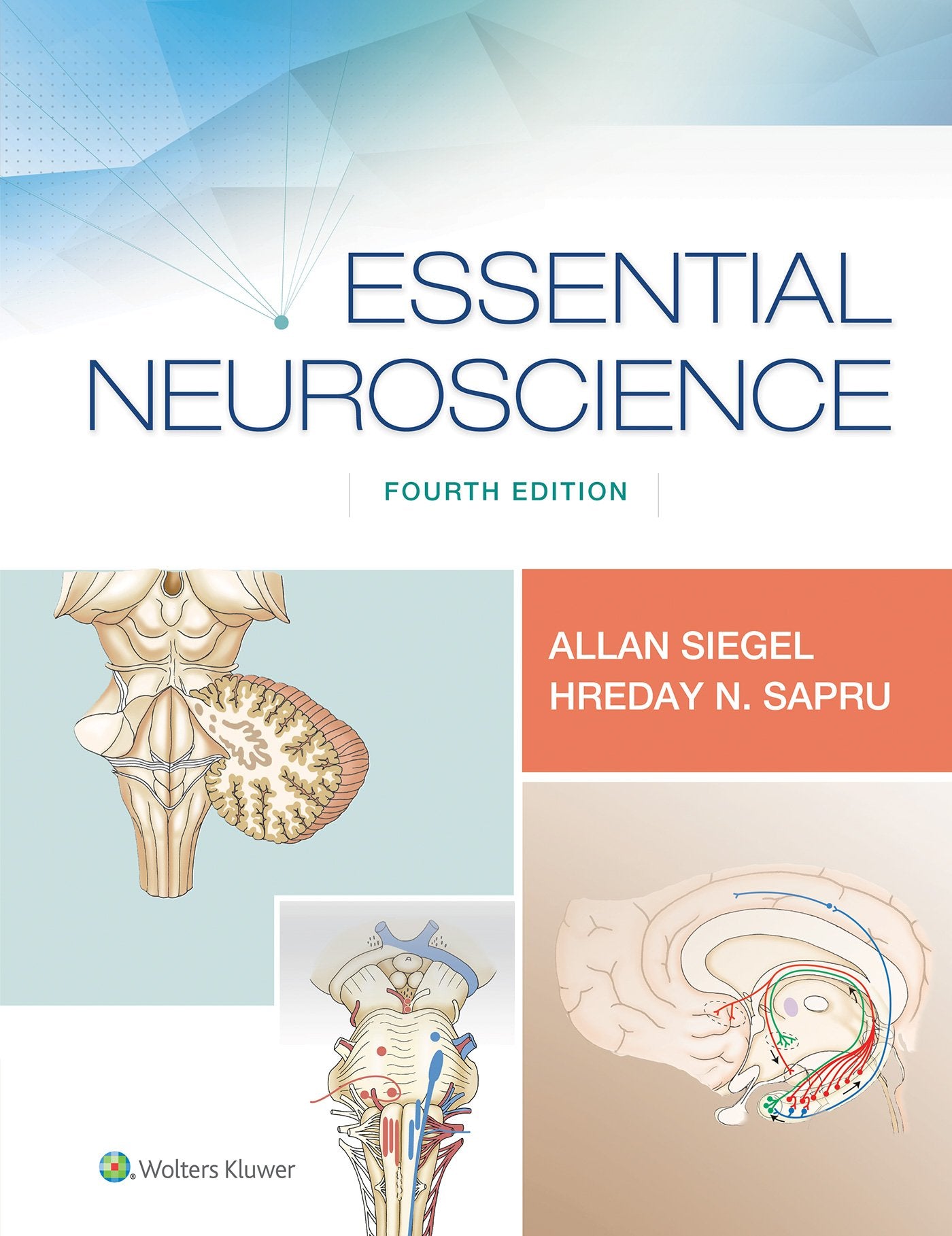 Essential Neuroscience-ISBN: 9781496382405
