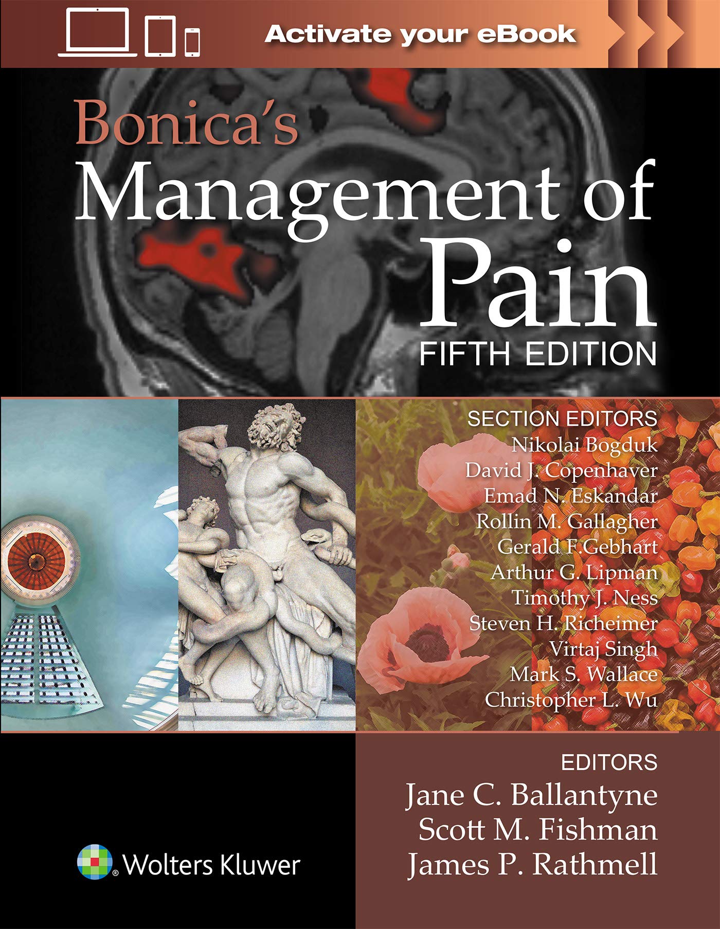 Bonica's Management of Pain-ISBN: 9781496349033
