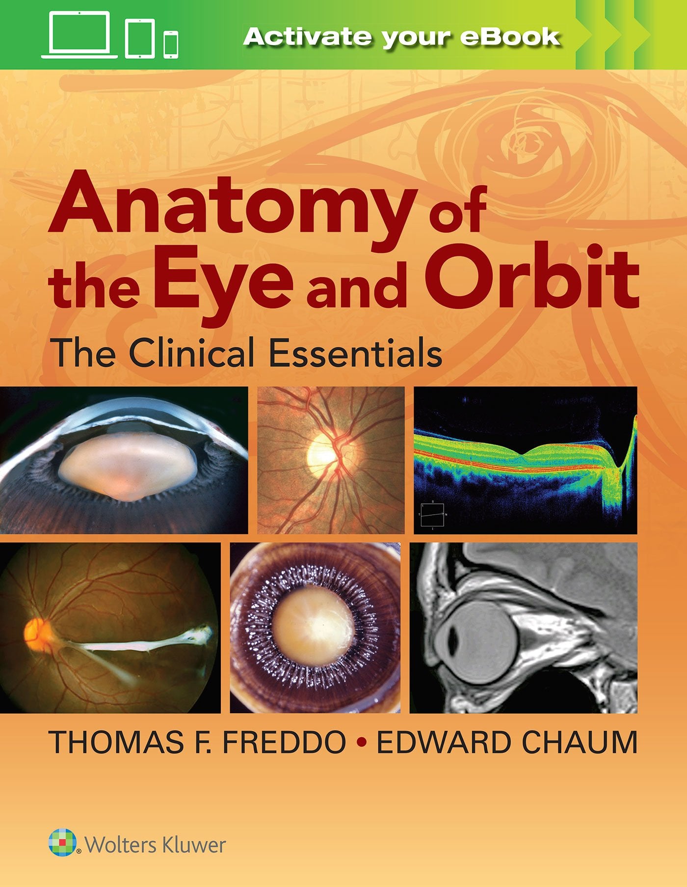 Anatomy of the Eye and Orbit: The Clinical Essentials-ISBN: 9781469873282