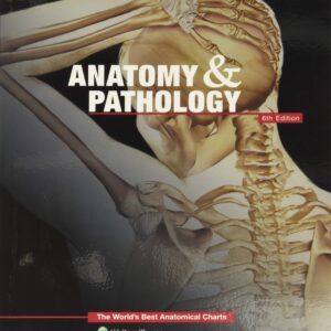 Anatomy & Pathology:The World's Best Anatomical Charts Book (The World's Best Anatomical Chart Series)-ISBN: 9781469889900