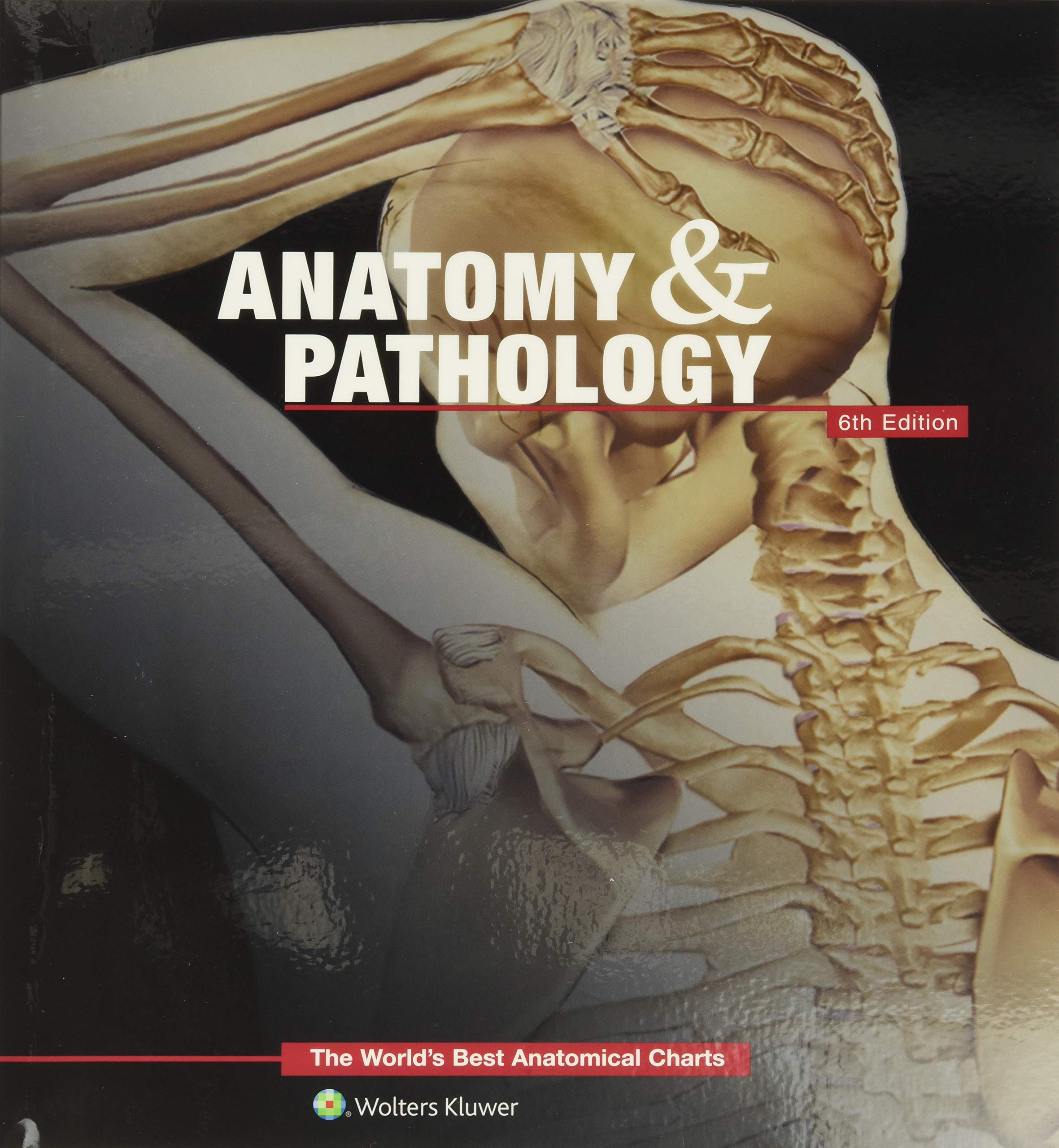 Anatomy & Pathology:The World's Best Anatomical Charts Book (The World's Best Anatomical Chart Series)-ISBN: 9781469889900