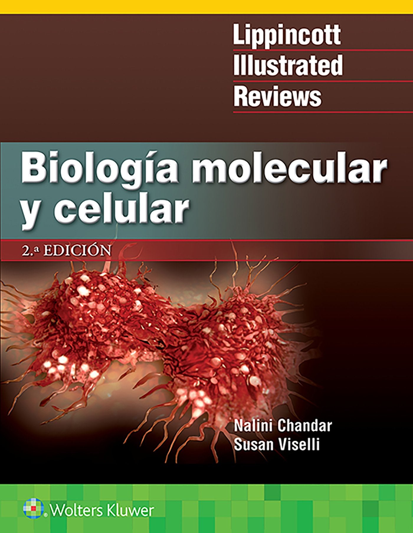 LIR. BiologÃa molecular y celular (Lippincott Illustrated Reviews Series) (Spanish Edition)-ISBN: 9788417370114