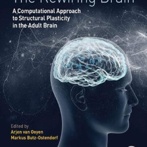 The Rewiring Brain: A Computational Approach to Structural Plasticity in the Adult Brain