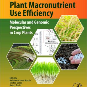Plant Macronutrient Use Efficiency: Molecular and Genomic Perspectives in Crop Plants