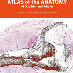 Atlas of the Anatomy of Dolphins and Whales