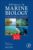 Taxonomic Impediments of the Benthic Infauna; Potential Solutions and Consequences (Volume 101) (Advances in Marine Biology, Volume 101)