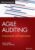 Agile Auditing: Fundamentals and Applications (Wiley Corporate F&A) ISBN-13: 9781119693321