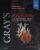 Gray’s Anatomy: The Anatomical Basis of Clinical Practice 42nd Edition 9780702077050