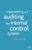 Implementing and Auditing the Internal Control System 2001st Edition 9780333929360