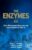 Viral Replication Enzymes and their Inhibitors Part A (Volume 49) (The Enzymes, Volume 49)