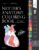 Netter’s Anatomy Coloring Book Updated Edition (Netter Basic Science) 2nd Edition 9780323545037