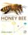 The Foraging Behavior of the Honey Bee (Apis mellifera, L.)