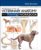 Introduction to Veterinary Anatomy and Physiology Workbook ISBN-13: 9780702052323