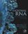 Exosomal RNA: Role in Human Diseases and Therapy