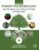 Biotechnology Applications in Forestry: Forest Microbiology Volume 4