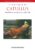 A Companion to Catullus 1st Edition 9781444339253