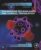 Engineering Technologies and Clinical Translation: Volume 3 of Delivery Strategies and Engineering Technologies in Cancer Immunotherapy