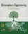 Rhizosphere Engineering