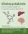 Cholecystokinin: From Gallbladder to Cognition and Beyond (Molecular Mediators in Health and Disease: How Cells Communicate)