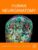 Human Neuroanatomy