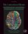 The Lateralized Brain: The Neuroscience and Evolution of Hemispheric Asymmetries