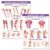 ACC Trigger Point Chart Set: Torso & Extremities Paper