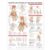 ACC Anatomy and Injuries of The Hand and Wrist Anatomical Chart, 20.00″ x 26.00″