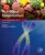 Nutritional Epigenomics (Volume 14) (Translational Epigenetics, Volume 14)