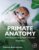 Primate Anatomy: Introduction to Extant Primates